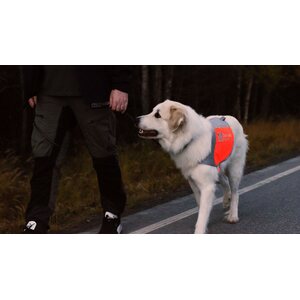 Non-stop Dogwear Reflective Blanket