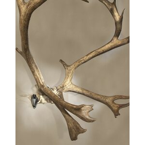Skull Hooker Bone Bracket XXL