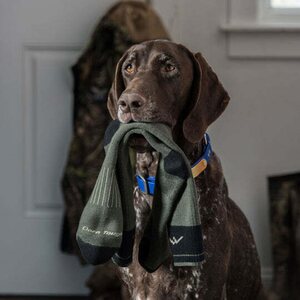 Darn Tough Hunter Over the Calf Full Cushion Merino