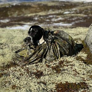 Jerven Skyddet Thermal Bag for Dogs