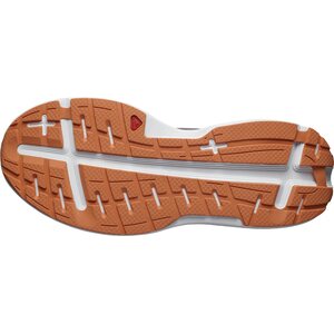 Salomon Aero Glide Mens