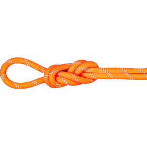 Mammut 9.5 Alpine Dry Rope