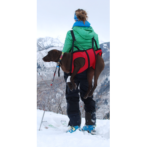 Fido Pro Airlift Dog Emergency Rescue Sling