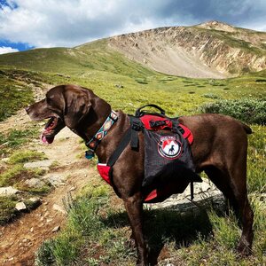 Fido Pro Saddle Dry Bags Set of Two