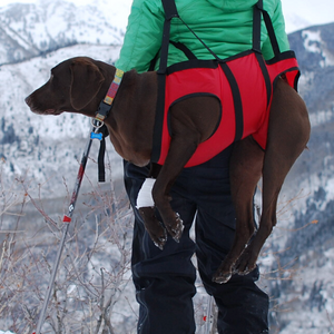 Fido Pro Airlift Dog Emergency Rescue Sling