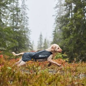 Non-stop Dogwear Trail Light Dog Jacket