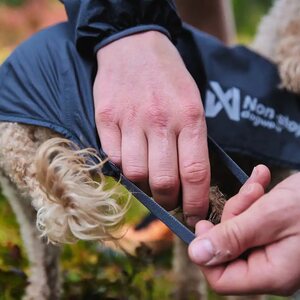 Non-stop Dogwear Trail Light Dog Jacket