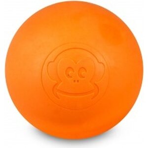 Picsil Lacrosse-pallo