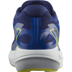 Salomon Phantasm 2 Mens
