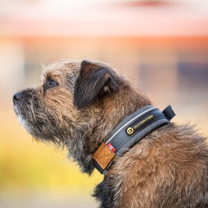 Seleverkstedet Unify Dog Collar