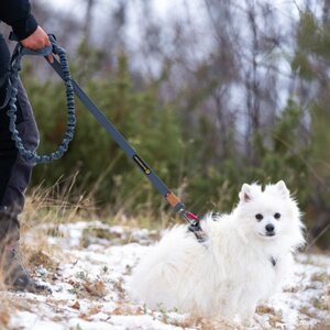 Seleverkstedet Rush Joring line
