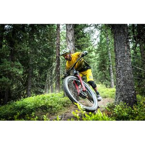 Endura MT500 MIPS Helmet