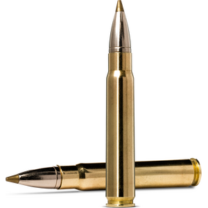 Norma 9,3x62 Evostrike 11.9g/184gr 20uds