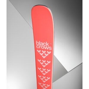 Black Crows Camox Birdie