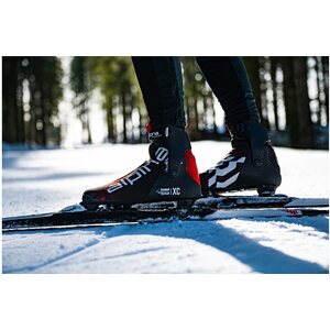 Alpina Comp Skate