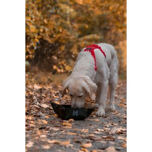 Non-stop Dogwear Trekking Bowl