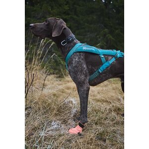 Non-stop Dogwear Protector Light Socks (4 kpl)