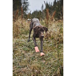 Non-stop Dogwear Protector Light Socks (4 kpl)