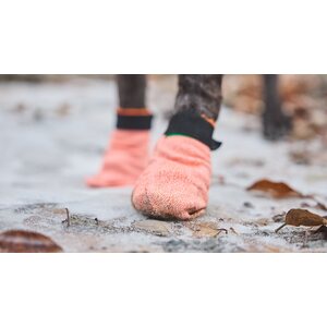 Non-stop Dogwear Protector Light Socks (4 kpl)