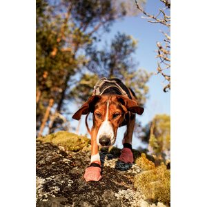 Non-stop Dogwear Protector Light Socks (4 kpl)