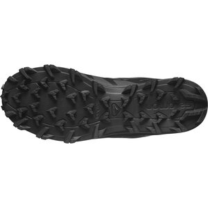 Salomon Speed Assault 2 GTX