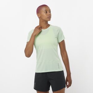 Salomon Cross Run SS Tee Womens