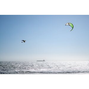 Ozone Vortex Ultra-X Kite Only 11m²