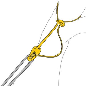 Petzl Eject