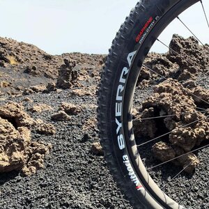 Vittoria Rengas MTB Syerra 60-622/29x2.4 TLR G2