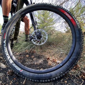 Vittoria Rengas MTB Syerra 60-622/29x2.4 TLR G2