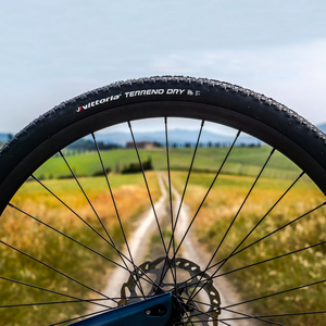 Vittoria Rengas Gravel Terreno Dry 40-622 Fold 2C