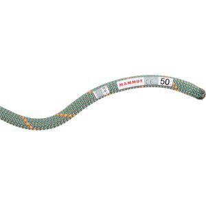 Mammut 9.9 Grag Workhorse Dry Rope
