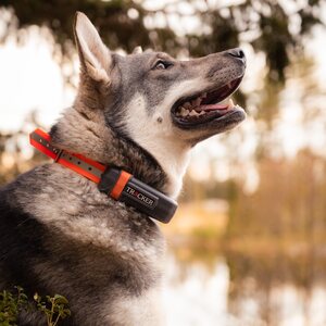 Tracker Luna