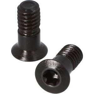 Sig Sauer KIT, SCREW, M4X0.7- 9.75MM, T10, 2 PCS
