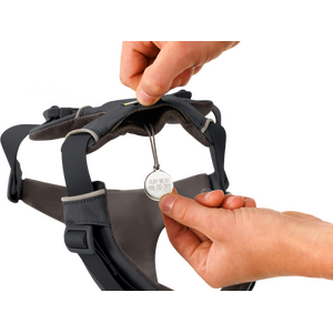 Ruffwear Front Range Harness