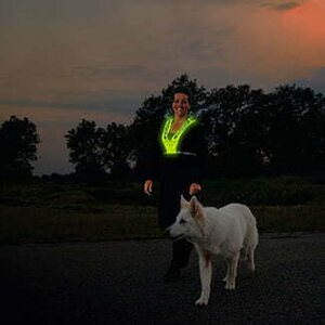 Bee Safe Led Vest USB gilet de sécurité
