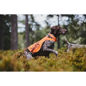 Non-stop Dogwear Camo Cover