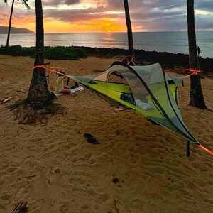 Tentsile Stingray