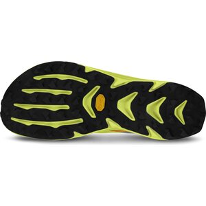 Altra Mont Blanc Carbon Mens