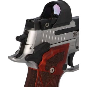 Sig Sauer P226 XFIVE XRAY3 Suppressor Height Rear Backup Night Sight
