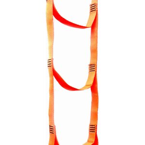 Tentsile Webbing Ladder