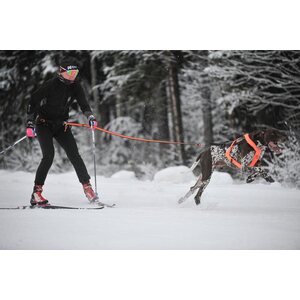 Non-stop Dogwear Loype Belt Pro