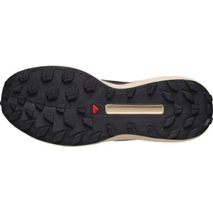 Salomon S/Lab Genesis