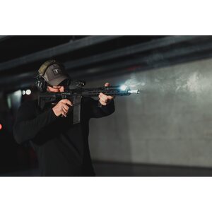 Sig Sauer M400 Sentry