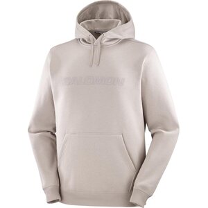 Salomon Big Logo Hoodie Mens