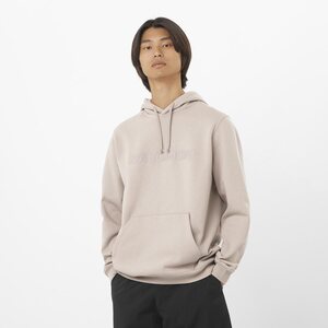 Salomon Big Logo Hoodie Mens