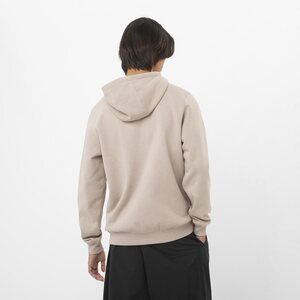 Salomon Big Logo Hoodie Mens