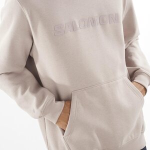 Salomon Big Logo Hoodie Mens
