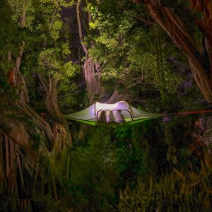Tentsile Stingray