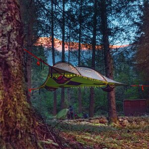 Tentsile Stingray